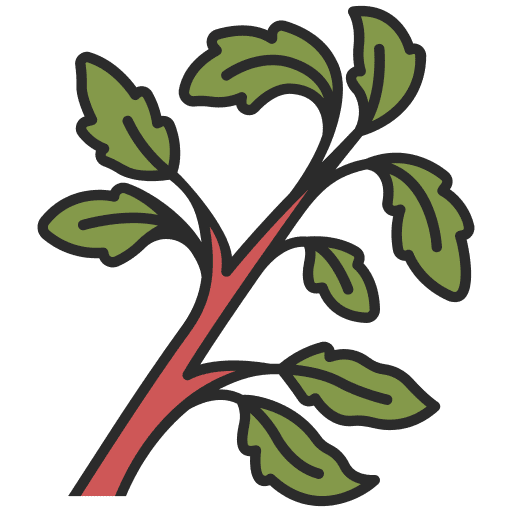 Basil basil spice fresh icon