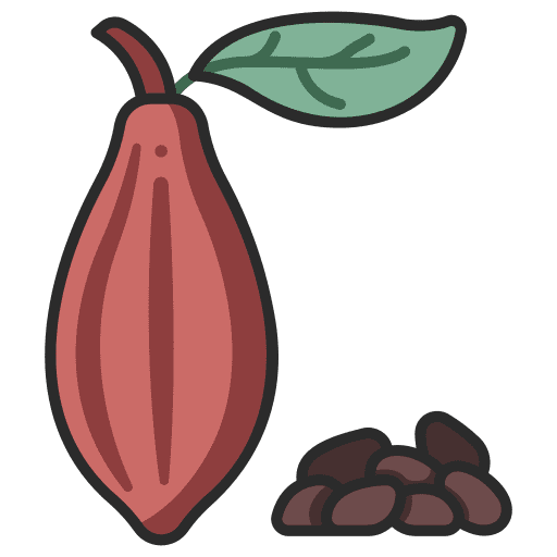 Cacao bean organic farming and gardening icon