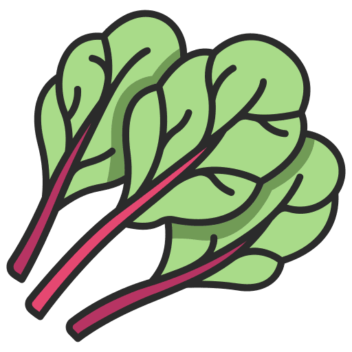 Chard healthy farming and gardening vegetarian icon