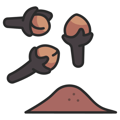 Clove food spice dry icon