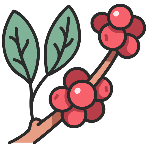 Coffee organic plant fruit icon