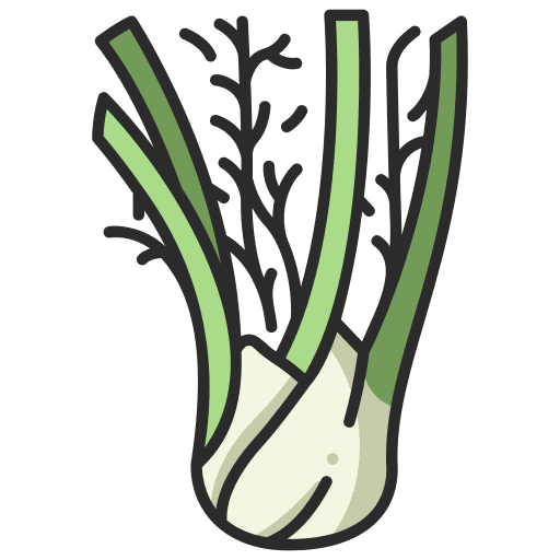 Fennel herb farming and gardening healthy icon
