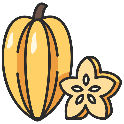 Starfruit vitamin vegan organic icon