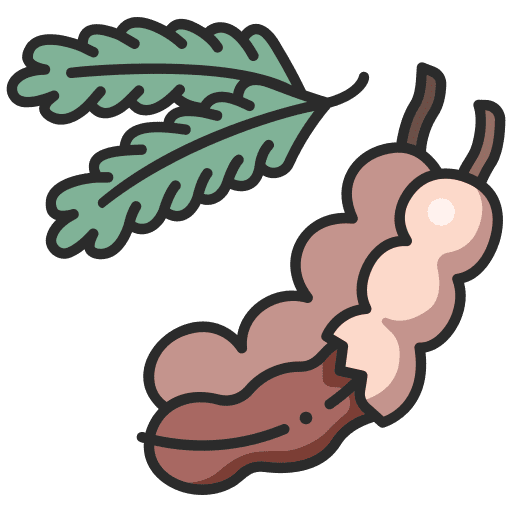 Tamarind leaf organic fresh icon