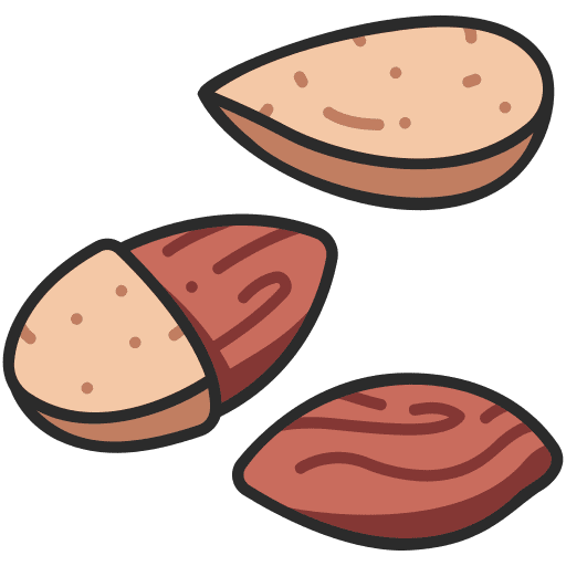 Almond seed healthy food icon