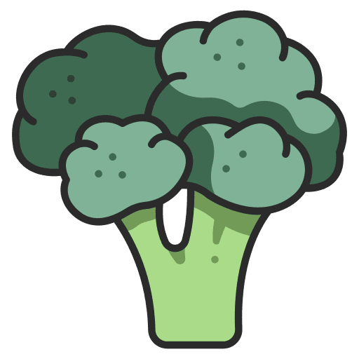 Broccoli food healthy broccoli icon