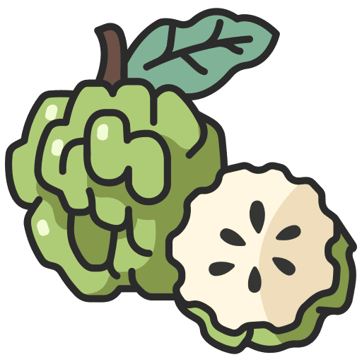 Custard appel vegetarian custard farming and gardening icon