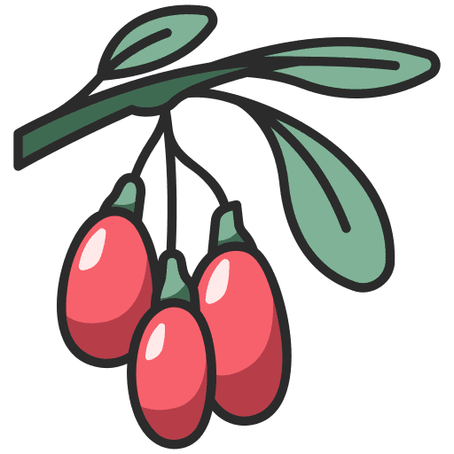 Goji goji healthy fruit icon
