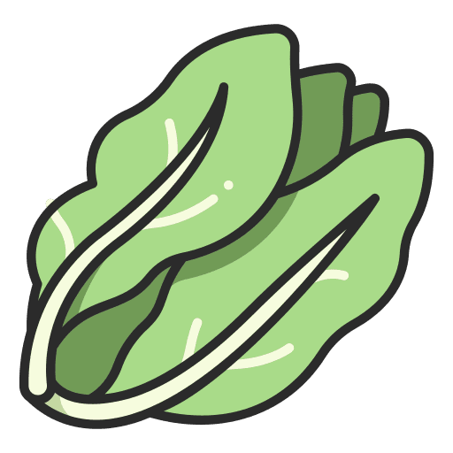 Lettuce vegetable food vegan icon