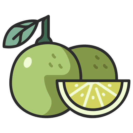 Lime food juicy fruit icon