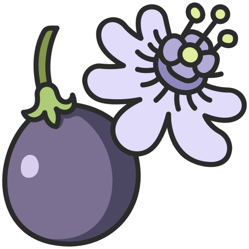 Passion fruit fruit passion fruit vine icon