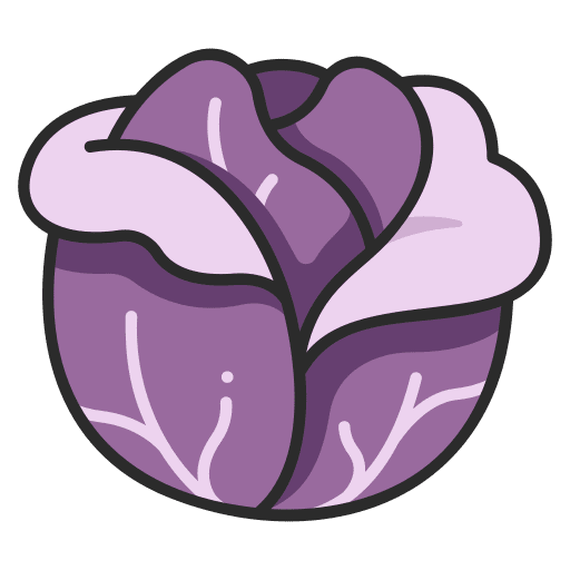 Red cabbage farming and gardening salad fresh icon