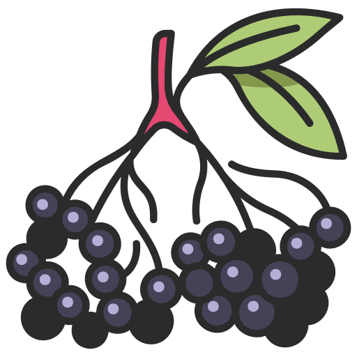 Berries natural vegan farming and gardening icon