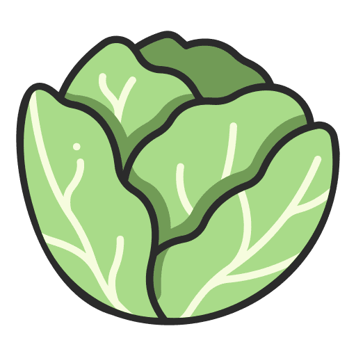 Cabbage plant salad fresh icon