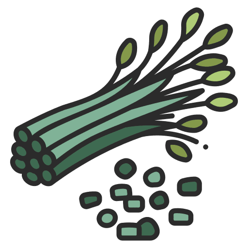 Chives bunch leaf food icon