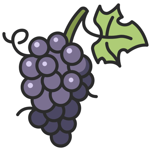 Grape food fresh farming and gardening icon