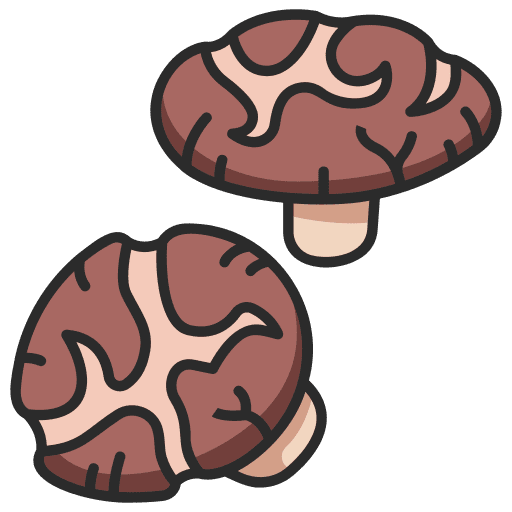 Mushroom fresh mushroom healthy icon