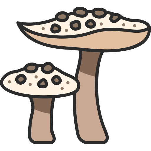 Mushroom mushroom farming and gardening fungus icon