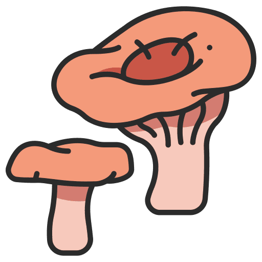 Mushroom pine food toadstool icon