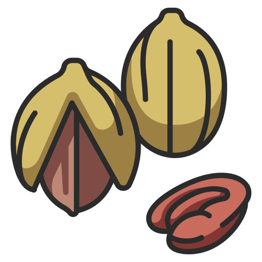 Pecan snack food seed icon