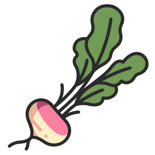Turnip farming and gardening vegetable organic icon