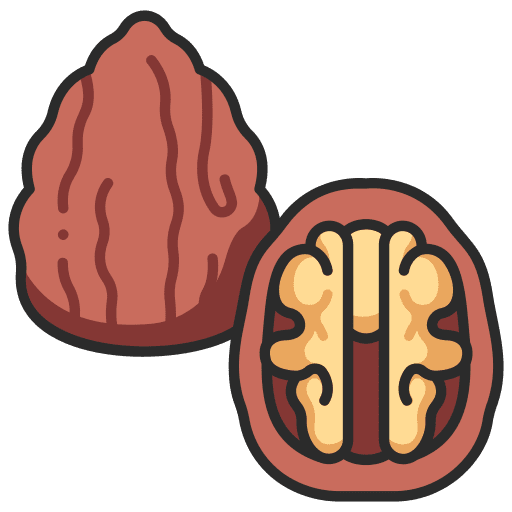 Walnut organic snack farming and gardening icon