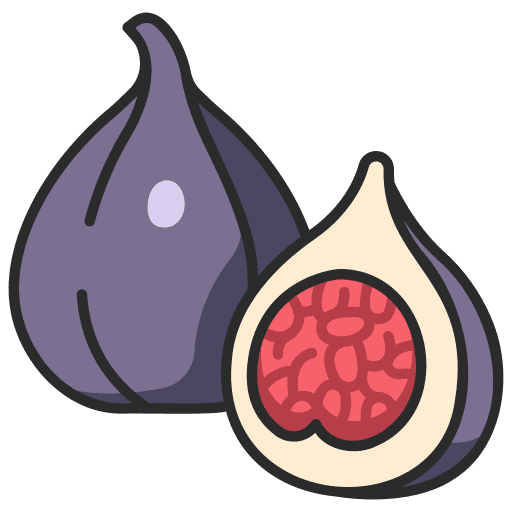 Ficus cut fresh farming and gardening icon