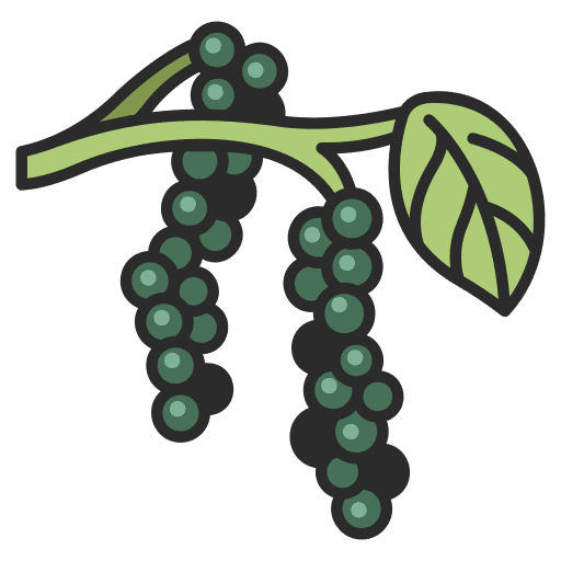 Pepper food vegetable pepper icon