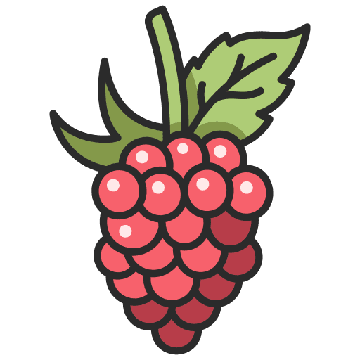 Raspberry organic raspberry berry icon