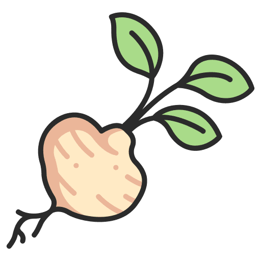 Vegetable vegetable food mexican icon