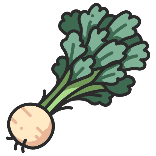 Vegetable vegetable healthy root icon