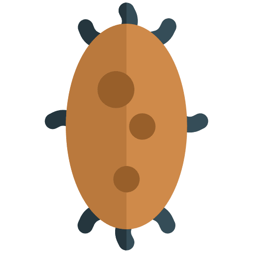 Microorganism coronavirus microorganism virus icon