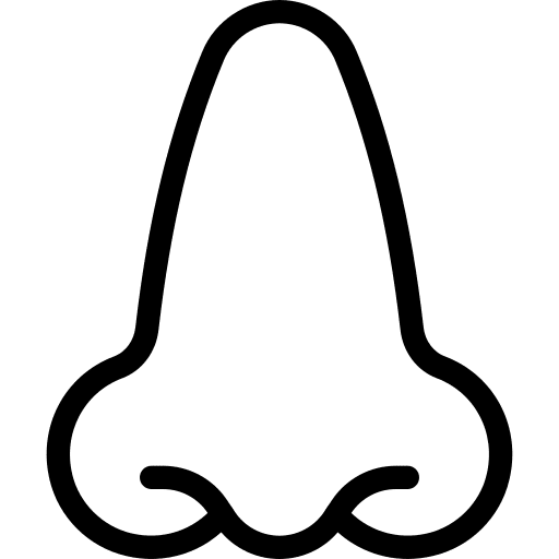 Nose medical nose body parts icon