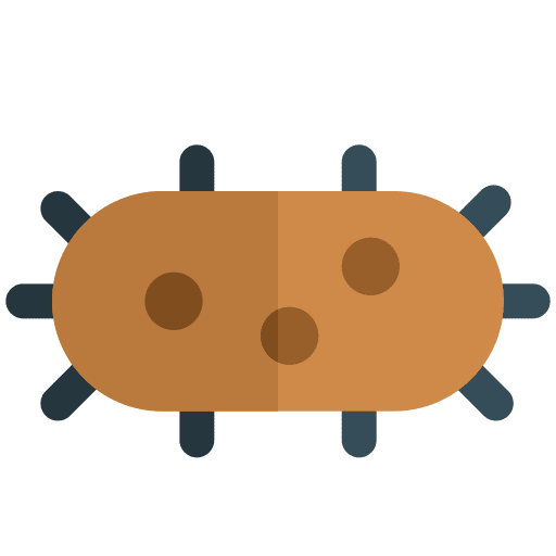 Structure transmission virus microorganism icon