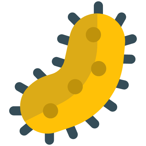 Virus virus healthcare and medical disease icon