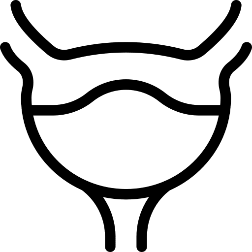 Bladder cystitis body bladder icon
