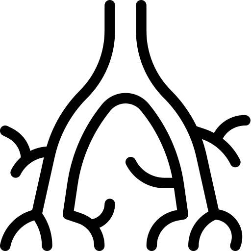 Bronchus body organ healthcare and medical anatomy icon