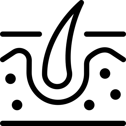 Dermis healthcare and medical dermatology pores icon