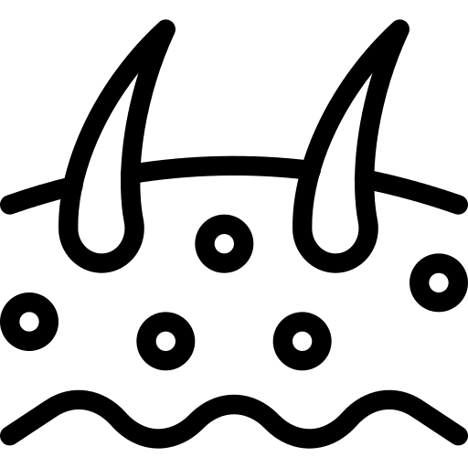 Epidermis epidermis hair organ icon