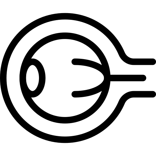 Eyeball anatomy retina iris icon