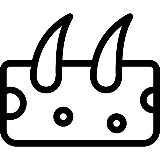 Skin organ epidermis follicle icon