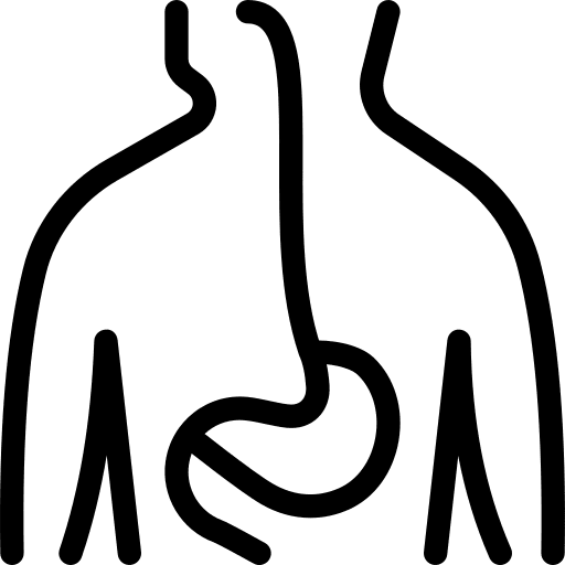 Stomach body parts digestive healthcare and medical icon