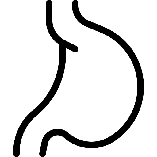 Stomach human organs body anatomy icon