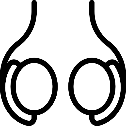 Testicles testicles healthcare and medical body icon