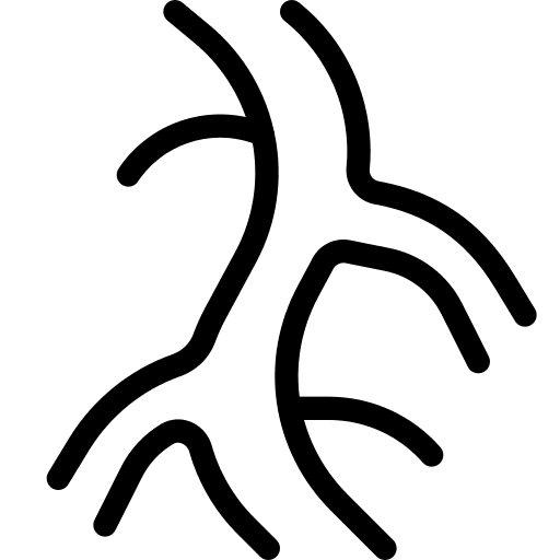 Veins nodes blood vessel organs icon