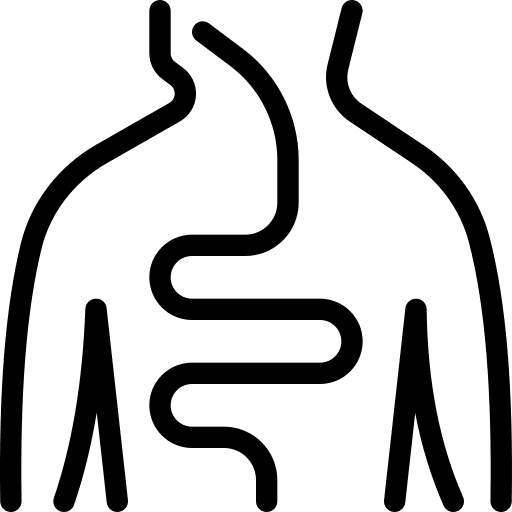 Human body human body intestine digestion icon