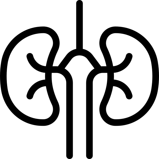 Kidneys body part renal urologist icon