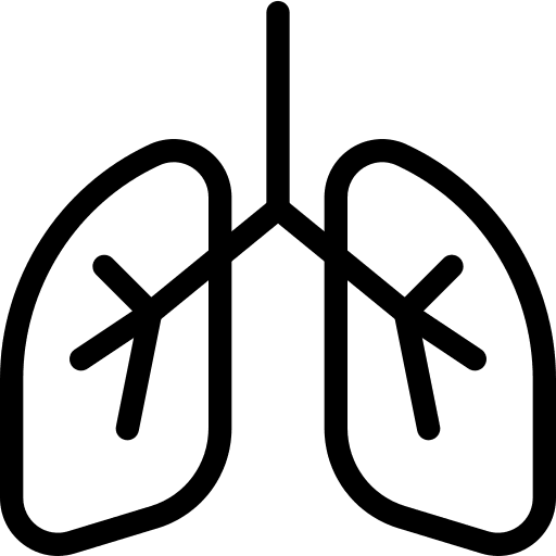 Lungs anatomy healthcare and medical breathe icon