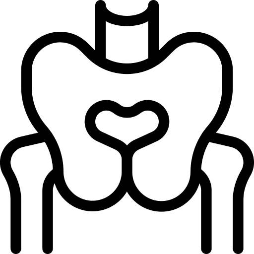 Pelvis pelvic bone healthcare and medical medical icon