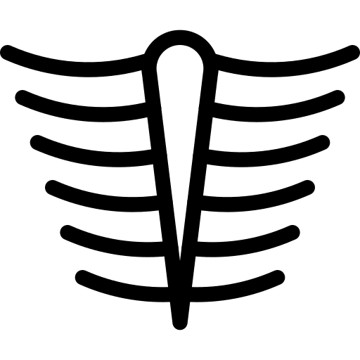 Rib cage parts anatomy body icon